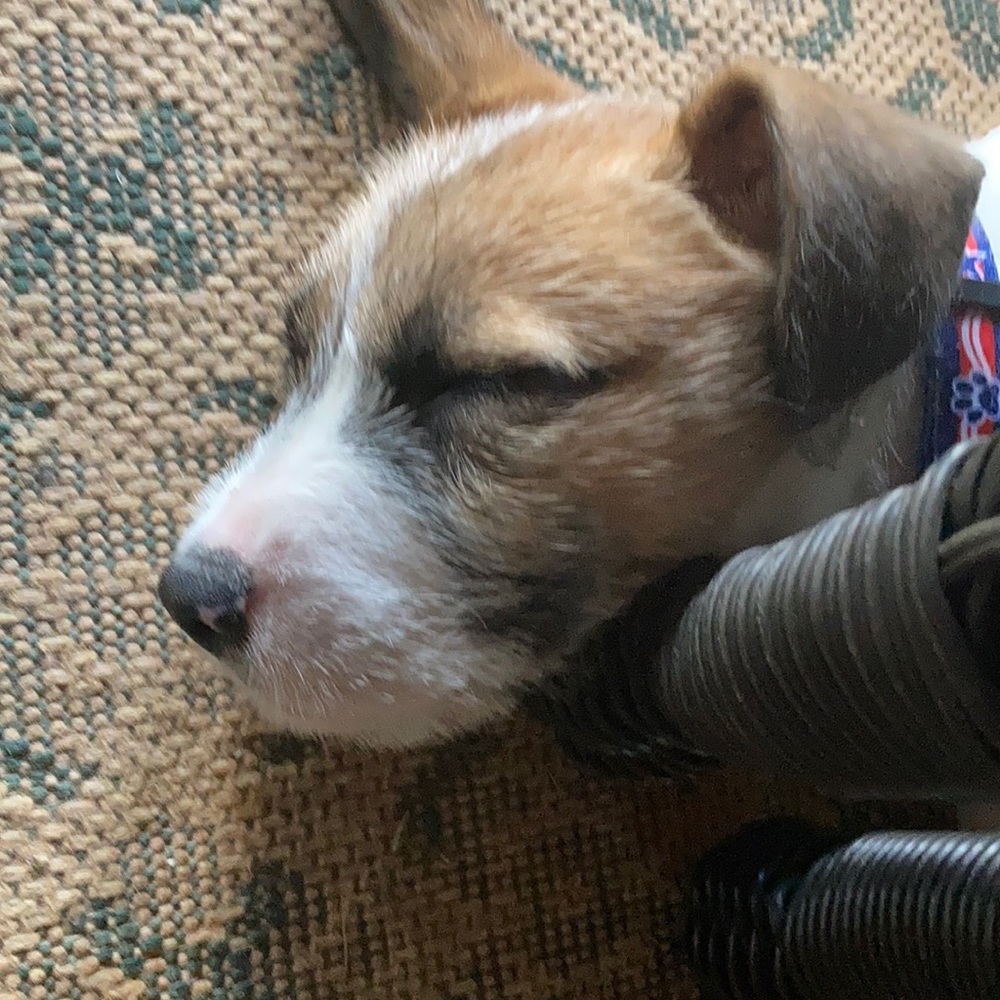 Meet your Posher, Antonio